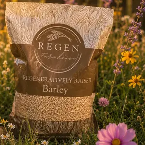 High Fiber Bread Barley (Berry) 5lbs