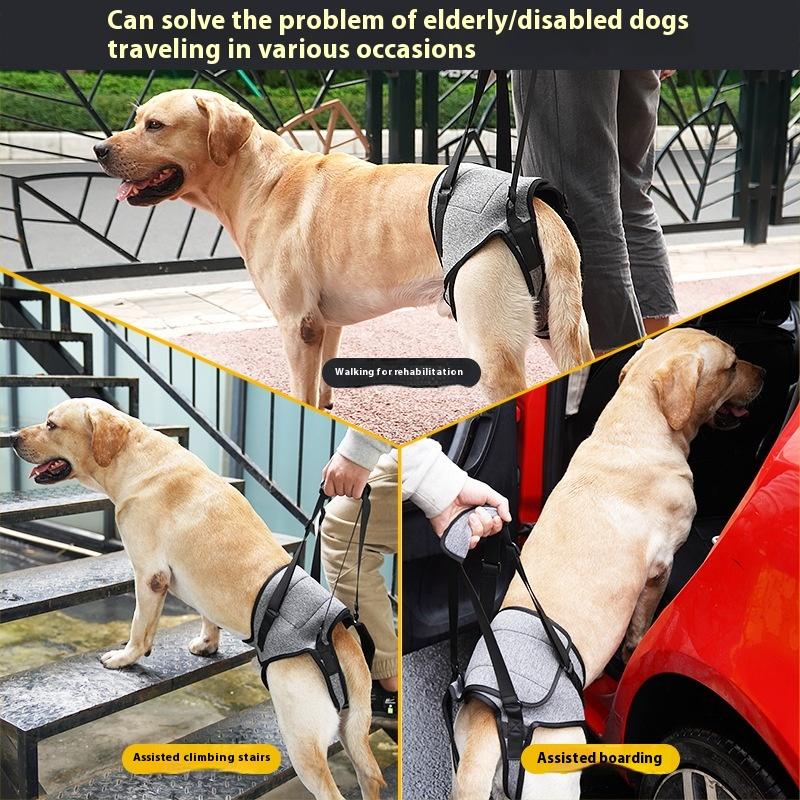 Senior Dog Rear Lift Strap, Back Leg Support Harness for Elderly Dogs Walking Stairs and Mobility Help Senior Dog Rear Lift Strap, Back Leg Support Harness for Elderly Dogs Walking Stairs and Mobility Help