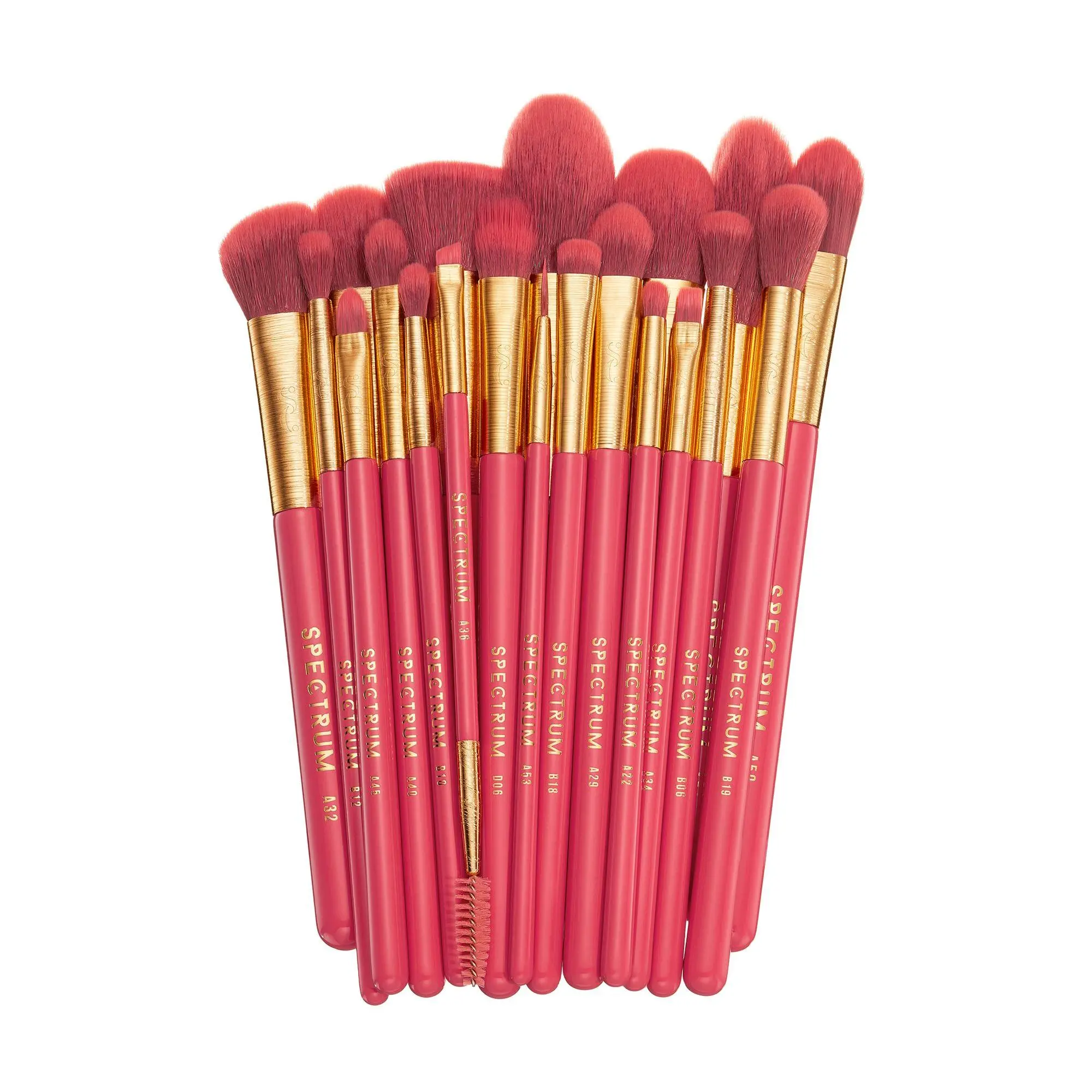 Spectrum Deluxe 20-pc Pro Brush Set Spectrum Deluxe 20-pc Pro Brush Set