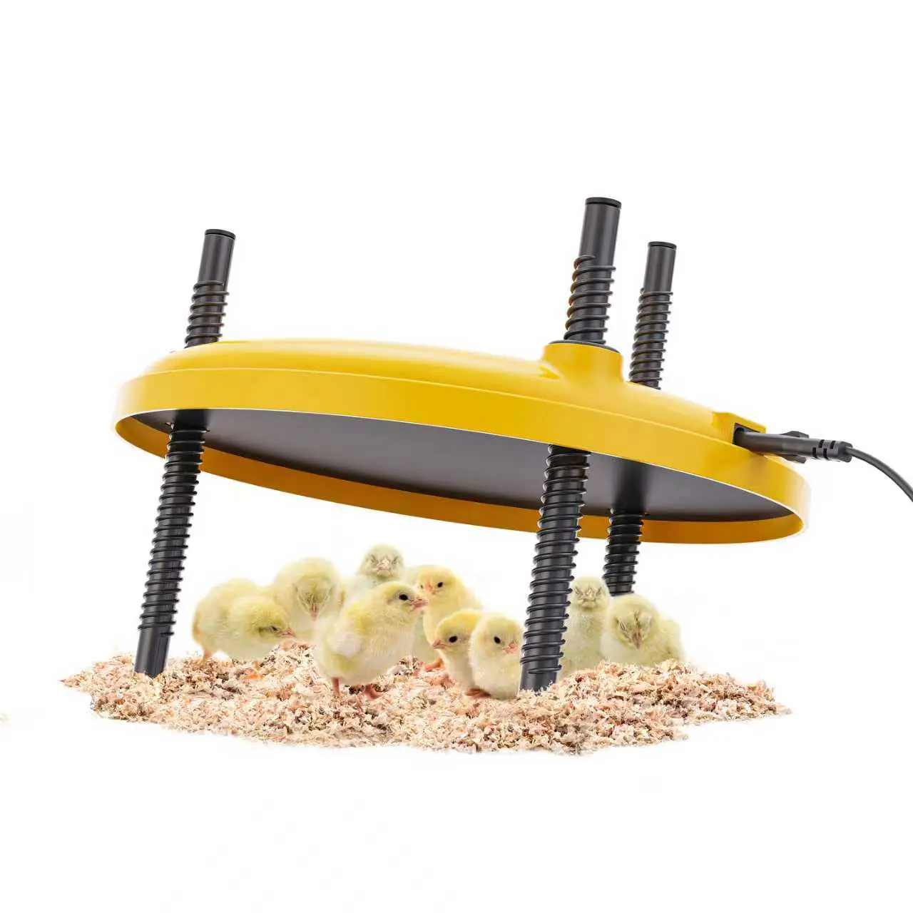 Brooder Heater, Metal Heating Plate,12"Heating Plate, Adjustable Height Angle, ,Temperature Control, With Timer,Round Plate Heater, Easy to Use