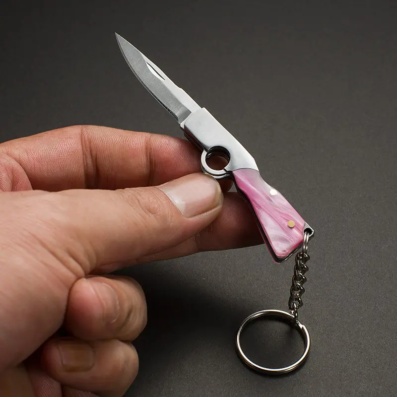 Mini Folding Knife, Sharp Micro Keychain Blade, Steel Blade, Portable Unboxing Tool, Outdoor Gear, Camping Knives, Fixed Blade Surface, Essential Survival Kit, Outdoor EDC, Survival Equipment