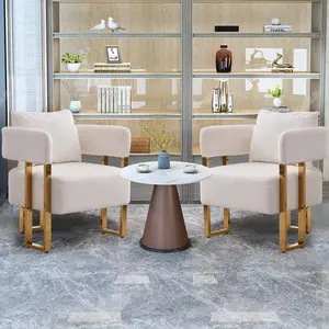 Modern decorative chair, living room side chair with gold metal legs, no wheels, suitable for dressing area, reception room, office,Teddy fleece upholstered metal foot sofas 2PCS White