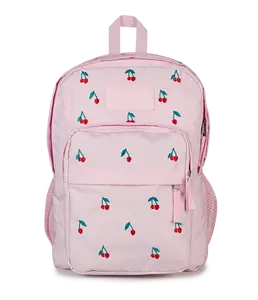 JanSport Unisex Big Plans