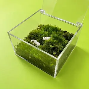 Chic DIY Mini Moss Scene with Lovely Tiny Animal Figurine, Transparent Acrylic Case, Zero Maintenance Preserved Moss Decor, Stylish Desktop Accent for Desk, Home, Office, Bedroom, Shelf & Dorm, Great Mini Gift for Plant Enthusiasts