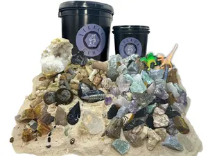 Fossil Mining Bucket - Gallon Bucket - 10-12 lbs Total - Over 12 Different Types of Fossils and Natural Crystals