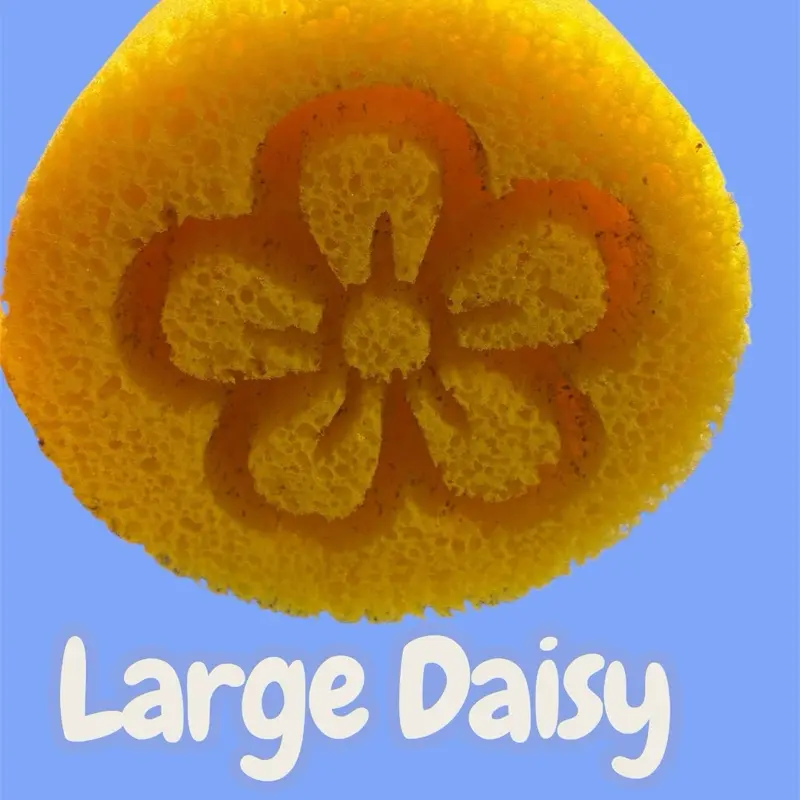 L/Daisy
