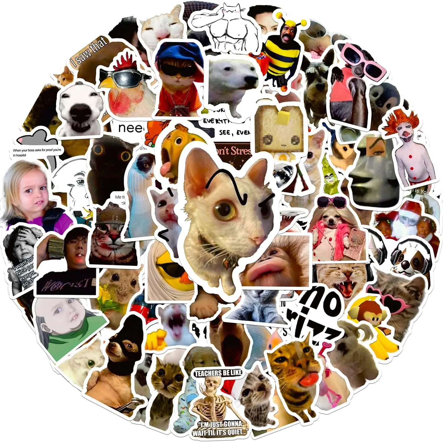 100 Pieces Funny Stickers, Cute Meme Stickers Waterproof Vinyl Gifts for Phone, Water Bottle, Luggage, Laptop, Adults Teens