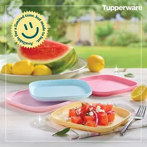 Classic Lunch Plates