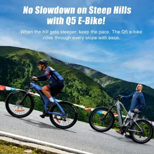 HX Q5 Shark Mako Adult Electric Mountain Bike - 2000W Motor, 48V 20Ah Removable Battery, Torque Sensor, Smooth Comfortable Ride