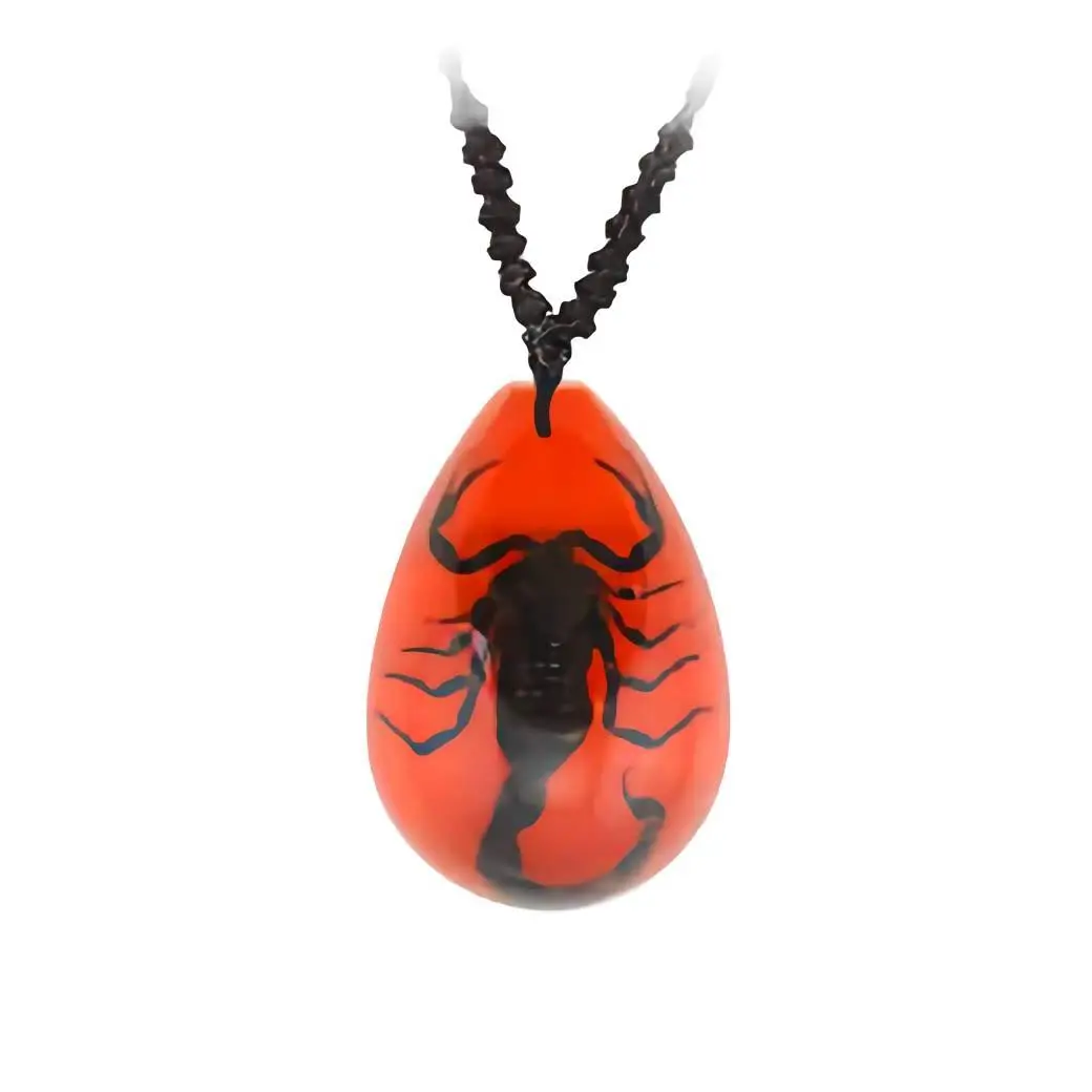 Real Black Scorpion Necklace In Red Lucite Real Nature Gift Jewelry With Box
