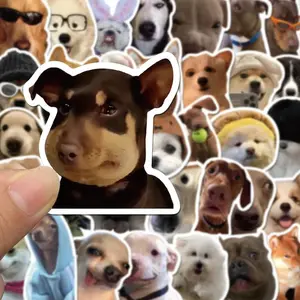 Funny Animal Meme Sticker Bundle - 5 Random Picks