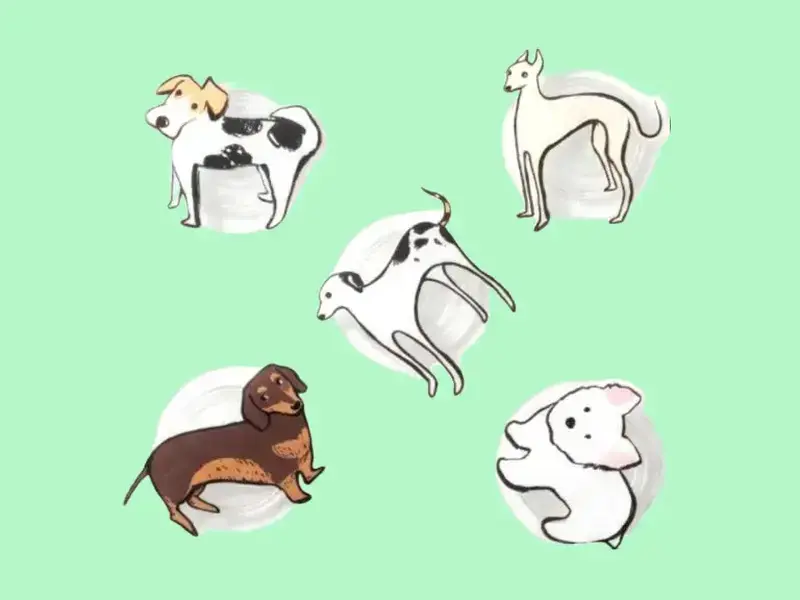 Dog Phone Grip Holder Strong Adhesive Hand Drawn Dog Breed Acrylic Popsocket
