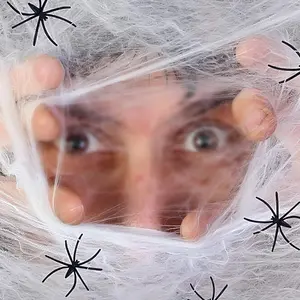 Spider & Spider Web Decoration, 1 Count  Scary Spider Web & 4 Counts Spider Decoration, Gothic Style Decoration for Home Party Festival Halloween Haunted House, Halloween Decor