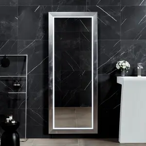 Eviva Sofy 24" x 67" Rectangular Aluminum Aluminum Framed Mirror