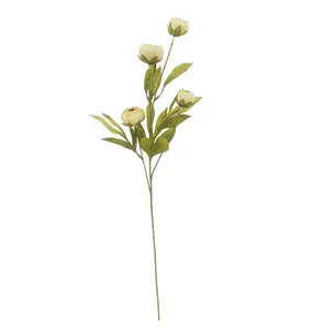 Ashland Tan Peony 12 Stems