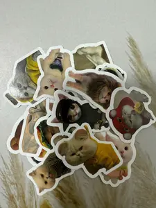 Funny Cute Sticker Collection – 5 Random Cartoon & Animal Pieces