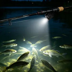 650lm High-quality aluminum alloy metalMulti-functional Outdoor Scene Lighting