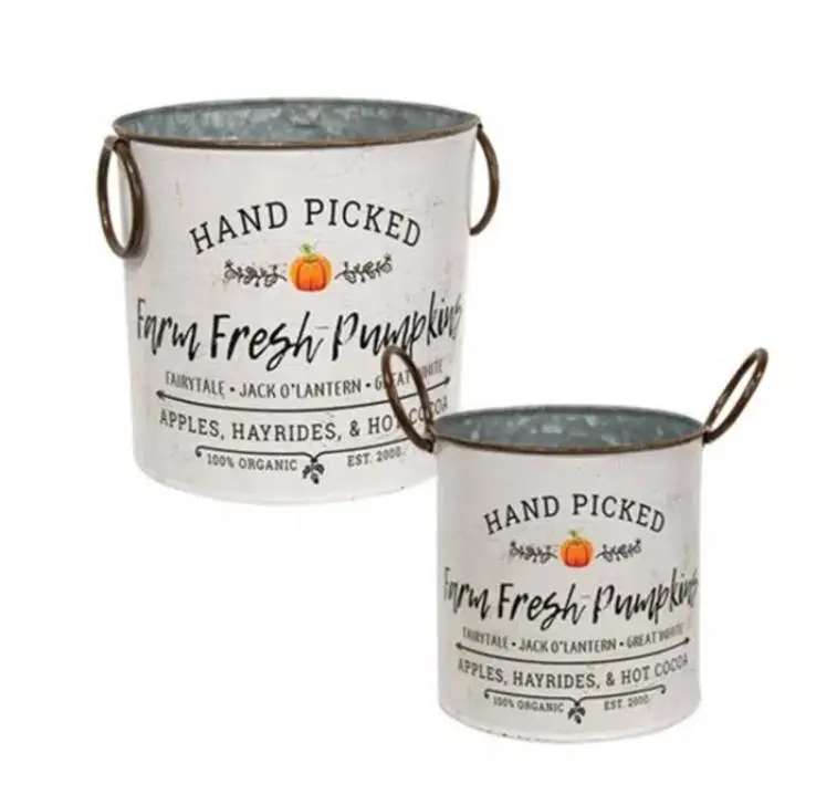 Set/2 Farm Fresh Rustic Pumpkin Buckets