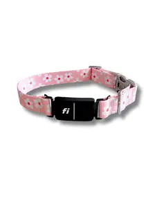 Daisy Garden Fi Compatible Collar
