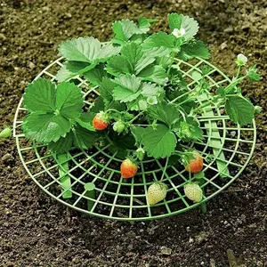 Combination set of strawberry racks, high-quality strawberry flower pots - Reasonable planting setting design - Multi functional plant rack for berries and small vegetables Garden Trellis