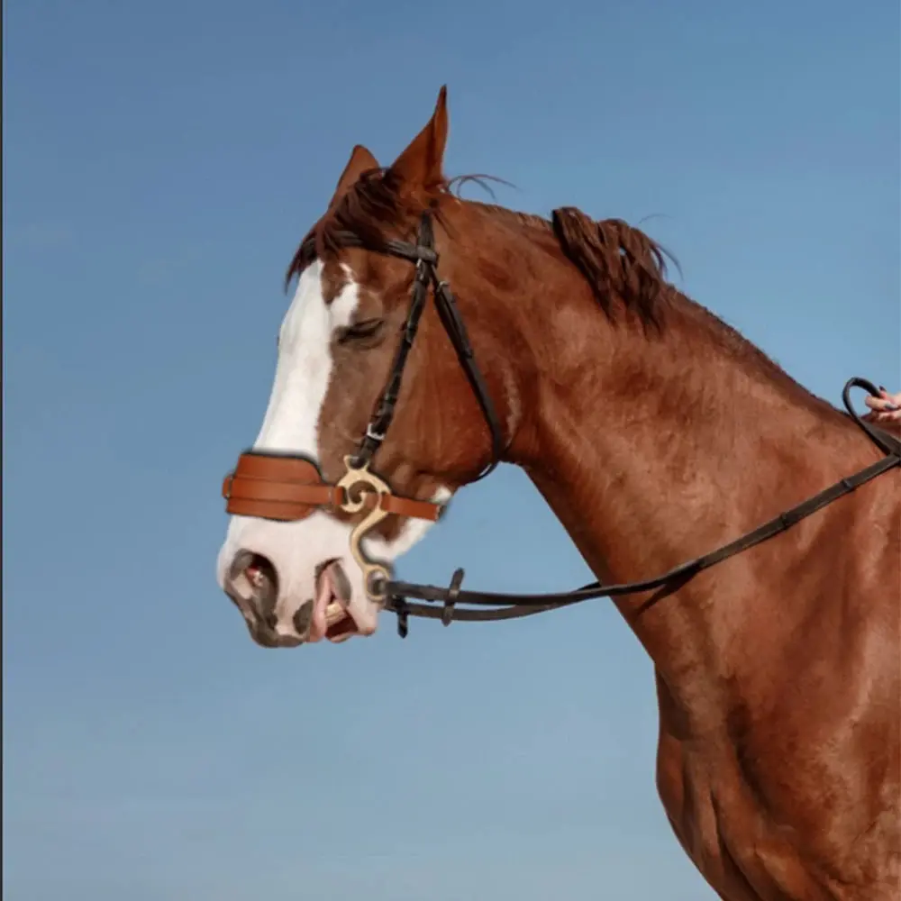 Horse Bit Brown Bridle Leather/Padded English