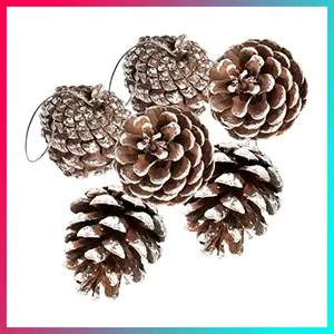 24 PCS Pine Cones for Christmas Tree Snowflake Natural Pinecones Ornament with String Pendant Crafts for Xmas Party Home Decor Fall Winter Holiday Christmas Tree Decoration (24)