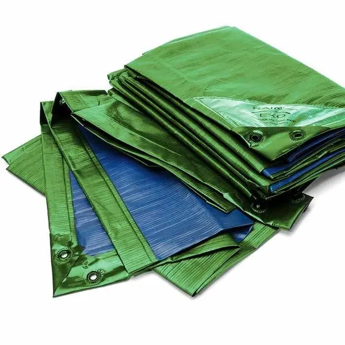 10 x 15 ft. Rainexo 150 GSM Heavy Duty Tarpaulins - Green & Blue