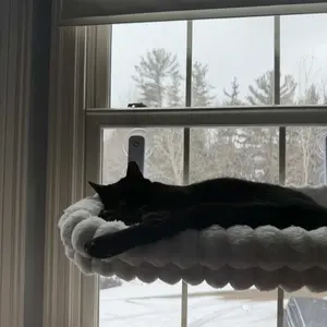 Folding Cat Hammock for Window - Cordless, Machine Washable Bed, Robust Metal Frame, Strong Suction Cups，Cat Window Perch for Cats and Small Dogs