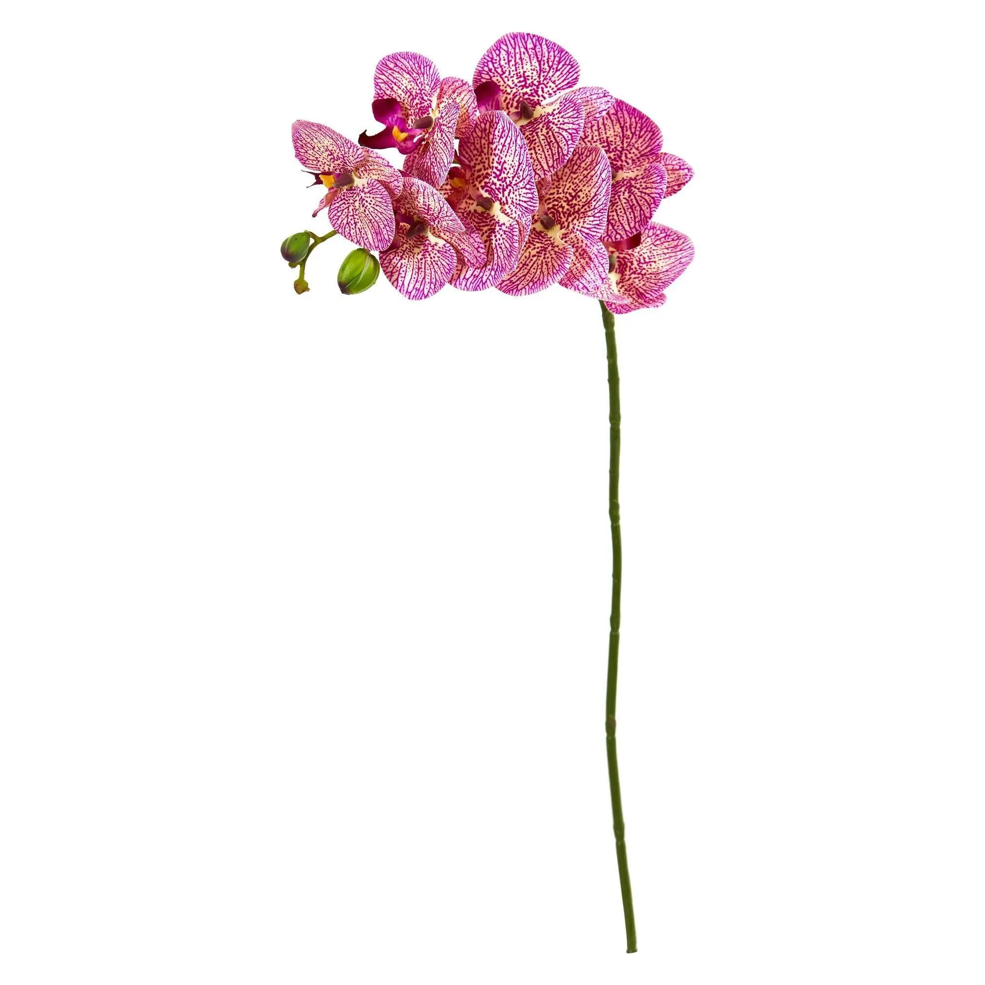 28 in Decorative Artificial Phalaenopsis Orchid Flower Stems (6 Pieces, Natural Hues) for Home Decor, Wedding Floral Decor, Six Pieces