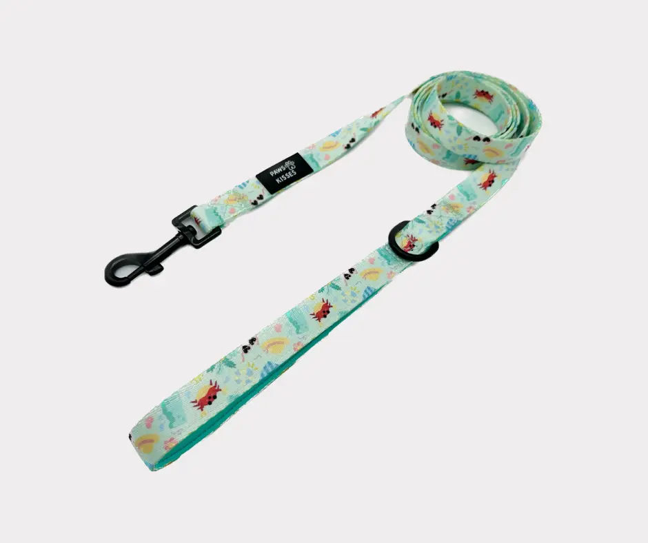 Summer Pawty Leash - 5 Foot Sturdy Metal Hardware Leash with Colorful Summer Pattern for Dogs & Cats - Hand Washable & One Size Fits All - Harnesses
