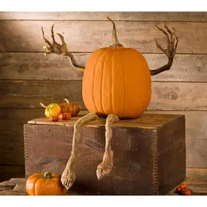 Evergreen Posable Pumpkin Vine Arms and Legs Set