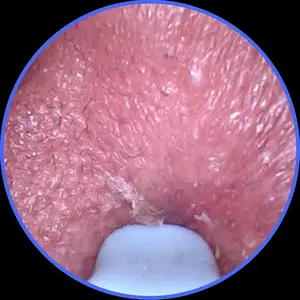 review image 4