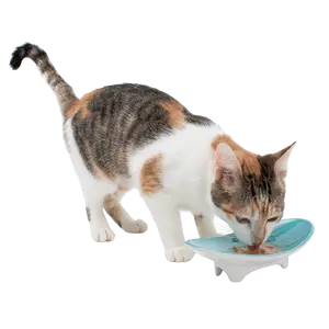 Whiskerware Ceramic Oval Bowl