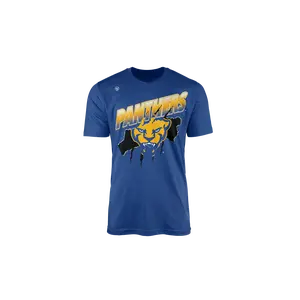 Pittsburgh Style Men's Short-Sleeve Graphic Tee, Stylish Casual Panthers Youth Battle-Tested T-Shirt Top