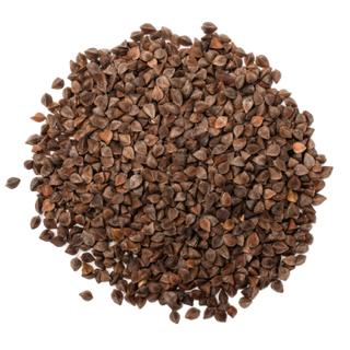 The Cult Classic Fragrance-Free