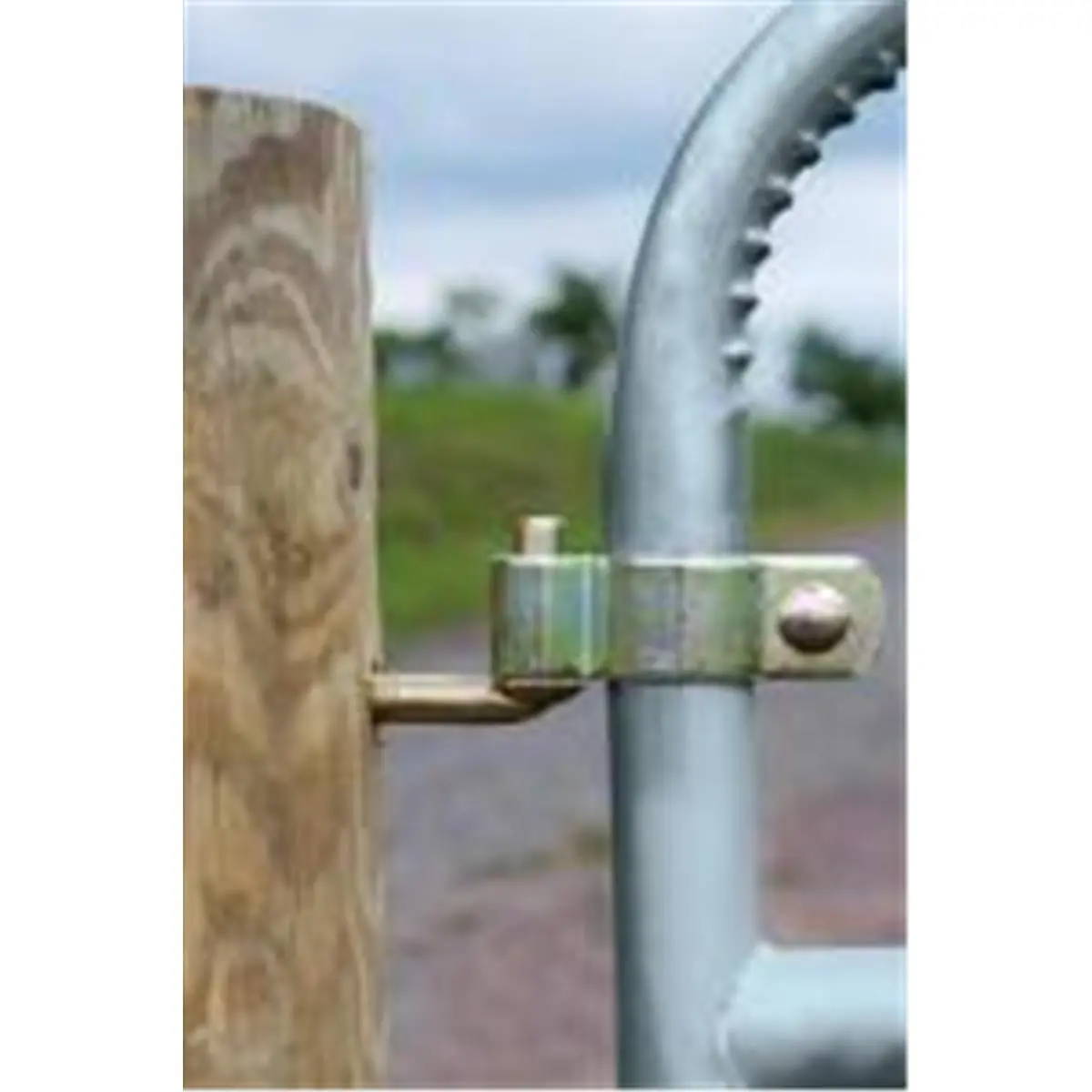 Powerfields Gate Hinge, 1.75 in. Metal Bolt-On Hardware for Outdoor Farm & Garden Gates, Includes 0.37x6 in. Lag Bolts, Functional, Inches, Includes 0.37 X 6 In. Lag Bolts