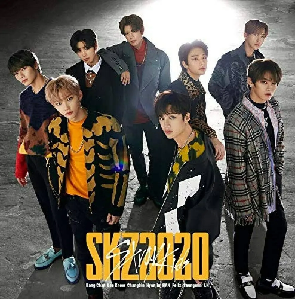 Stray Kids SKZ2020 Limited Edition Japanese 2CD DVD Best Album Photobook Trading Card