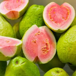 Pink Guava Tree Live Plant 4 to 6 Inc Tall Well Rooted
