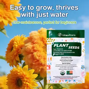 “Teddy Bear Sunflower Seeds – Easy to Grow, Fluffy Blooms for Garden & Balcony”