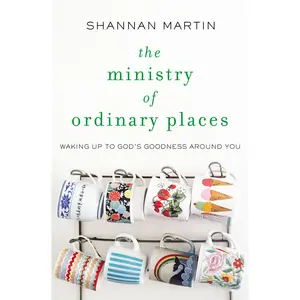 The Ministry of Ordinary Places: Waking Up to God's Goodness Around You by Shannan Martin [Paperback Book]