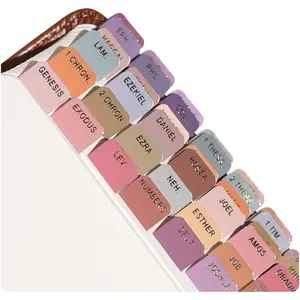 - Mini  Tabs,  Foil Lettering, Journaling, Small Bibles, Study Tool, 90 Tabs, Old and  Testament, Christian, Catholic, Apocrypha, Index Tabs, Glossy Laminated - Mini Fearless