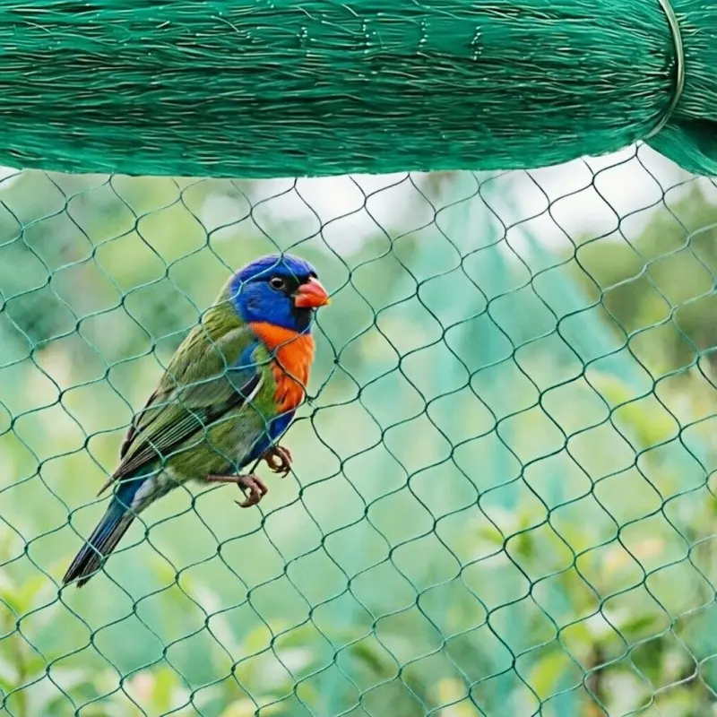Garden Plant Protection Net, Bird, Pest and Animal Barrier, Fruit Trees, Vegetables, Flowers, Vine Climbing, Poultry Fence, Fish Pond Guard