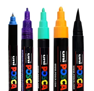 Ultimate Posca Marker Rock Decorating Set w/ Zip Up Storage Case