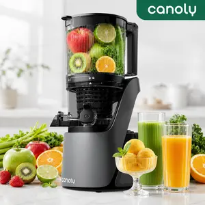 Canoly C16 3-in-1 Cold Press Fruit Juicer - Quiet Masticating Countertop Model, 6" Wide Chute, Easy Clean Bisphenol A Free Home Multifunction Appliance for Juice, Nut Milk
