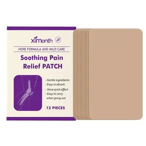 BonePainPatch Thermal Patches 12 Patches Bag No Attributes Specified for Bone Pain Relief