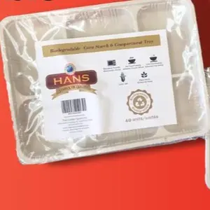 Biodegradable 6 Compartment Trays