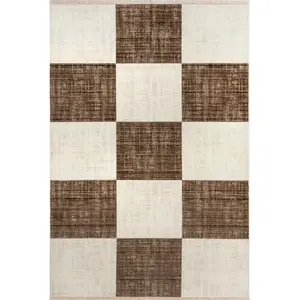 Aspen Checkerboard Fringed Area Rug