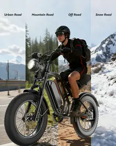 PASLDA ebike 1500W All-Terrain Electric Bike 34MPH Top Speed 48V 15.6AH Battery 20×4.0 Fat Tire 90N.m Torque Shock Absorption Shimano 7-Speed Gear System LCD Display