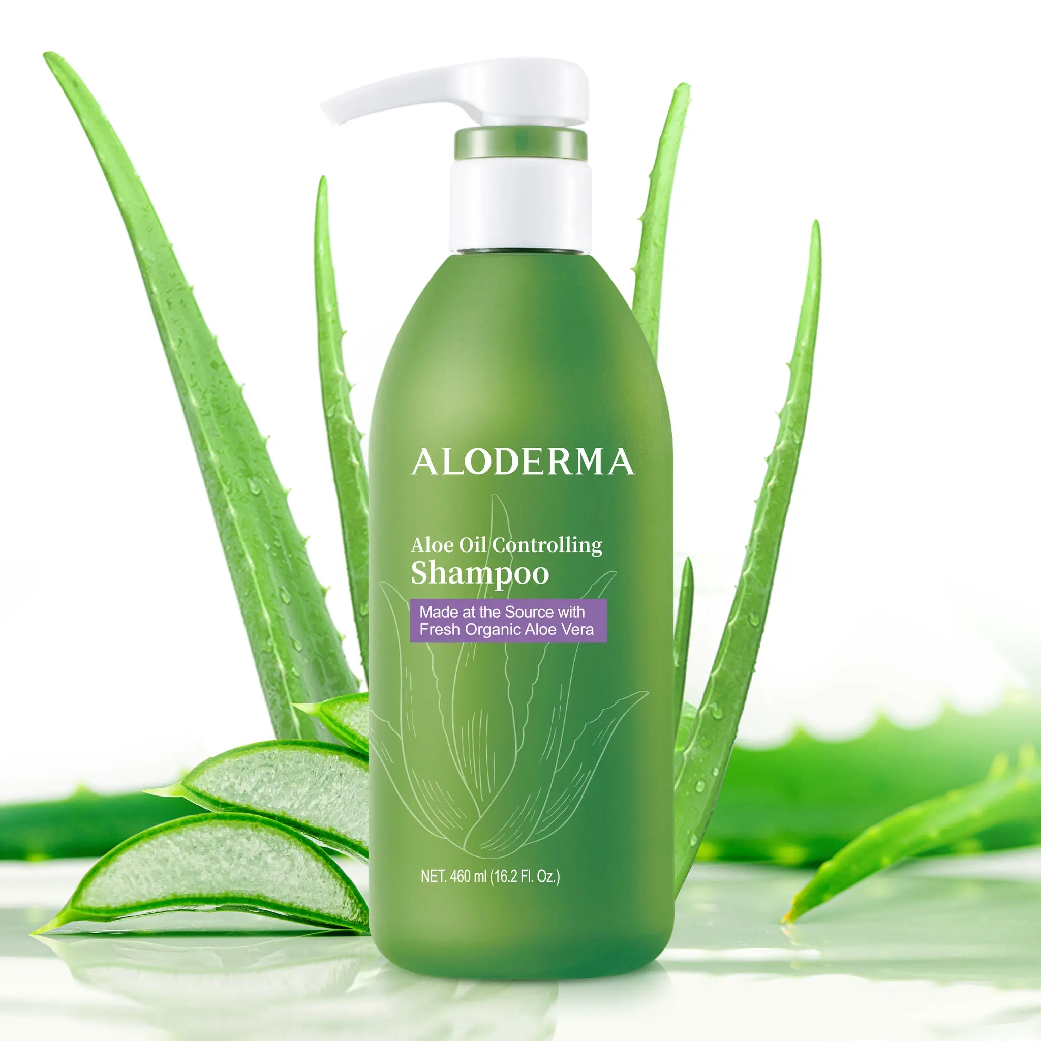 ALODERMA Aloe Oil Controlling Shampoo (16oz) - Organic Haircare Cleanser with Freshly Harvested Aloe Vera, Tea Tree Oil, Willow Bark Extract, Antibacterial, Hydrating, Calming Benefits for Oily Hair & Scalp, Gentle, Soothing, All Natural Shampoo, Nourishi