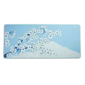 X-Raypad Aqua Control 2 Gaming Mouse Pad, Ultra-High Precision Mouse Pad with Perfect Speed and Control Capability, Consistent X and Y Glide, Designed for Fps Players with Low DPI Requirements